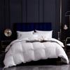 Pierre Paul Luxury 90% White Duck Down Comforter