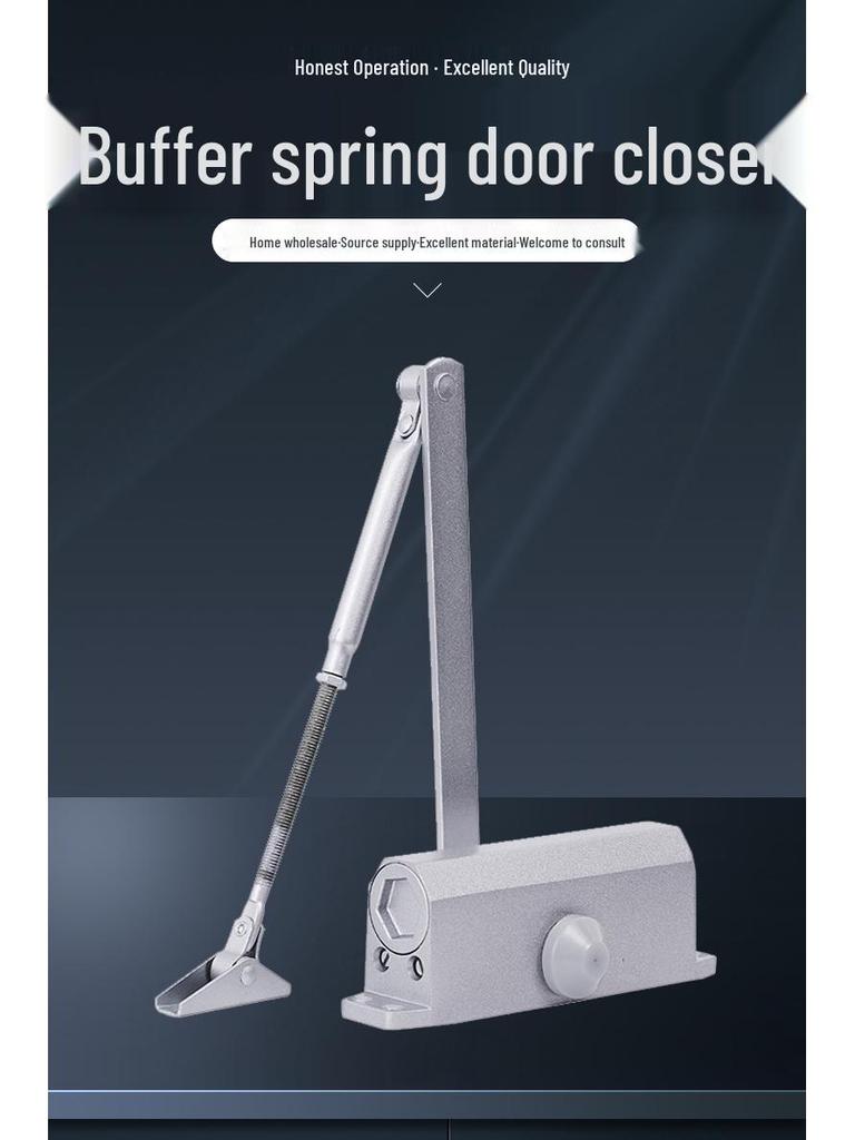 Automatic Stainless Steel Door Closer with Fire Door Buffer, 35kg Capacity