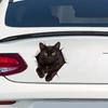 JT43# Bildekaler Svart Katt Husdjur Djur Vattentät Vinyl Dekal Biltillbehör Dekor