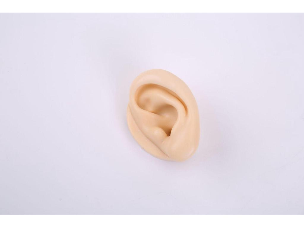 Silicone Ear Model for Training, Display & Ear Studs or Earphones