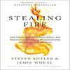 Stealing Fire How Silicon Valley Paperback US -M86
