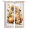 Autumn Pumpkin Squirrel Sunflower Sheer Curtains For Living Room Bedroom Tulle Curtain For Kitchen Voile Curtain Blind Panels