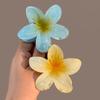 Hawaiian Gradient Hair Clips Women Flower Hair Claws Shark Hairpins Vacation Beach Hairpins Hair Accessories