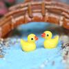 5 stk Resin Duck Model Ornament Miniatyr Hage Sukkulent Bonsai Dukkehus Dekor