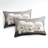 Comforter Fashion 3D Samoyed Dogs - Cute White Animal Home Textiles For Kids Boys And Girls Available For Dropship