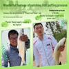 Tonight Eat Fish Fruit Scented Powder Fishing Bait