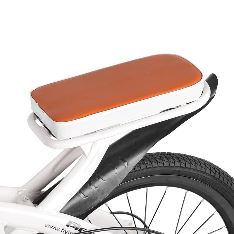 Feige Klokan F197003 20palcové jednorychlostní městské kolo