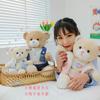 New Cute Dressed Couple Bear Doll Plush Toy Cartoon Teddy Bear Doll Birthday Gift for Girls