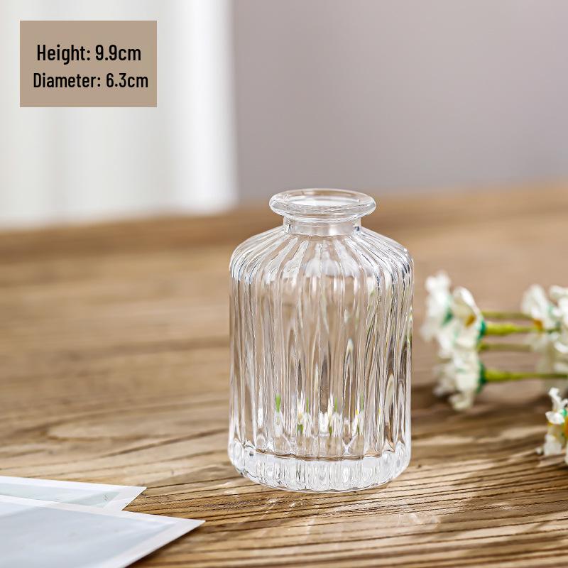 Small French Retro Glass Vase for Flowers and Hydroponics