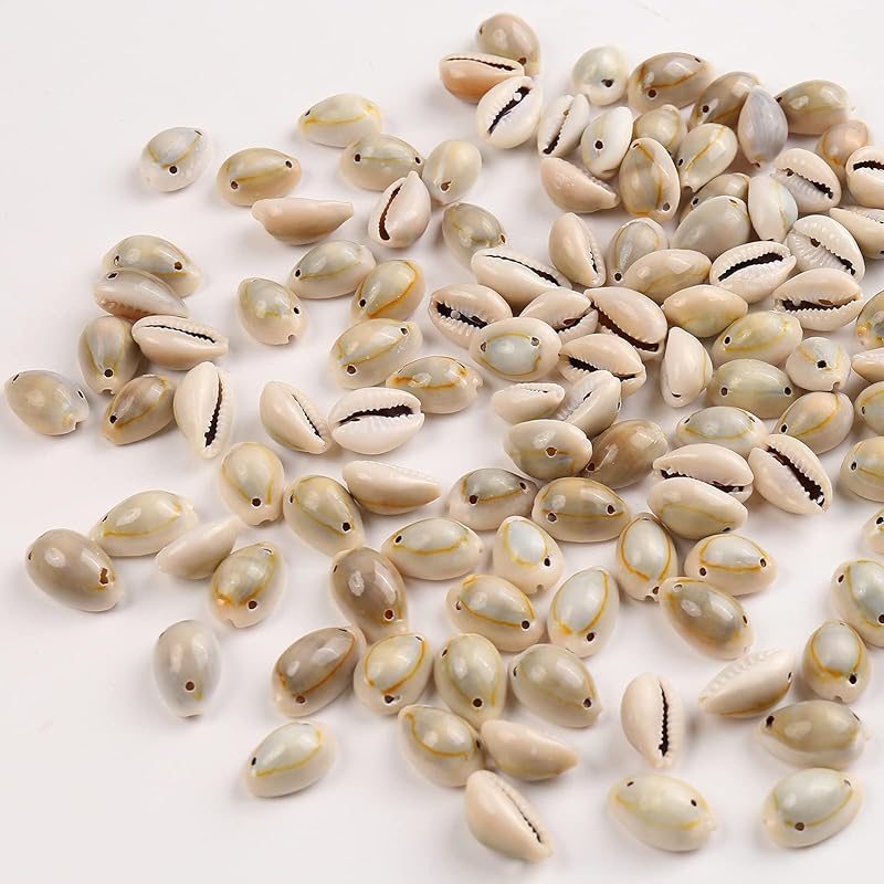 HERZWILD Spiral Shell Beads Tiny Natural Sea Shell Ocean Spiral Seashells Ocean Beach Spiral Seashells Craft Charms for Small
