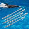 5er Set Outdoor Metall Bogenfischen Fisch Dart Pfeilspitze Katapult Spitze Jagd Schießen