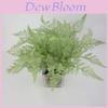 Faux Pteridium Aquilinum Var Latiusculum Plant Decor Set With Realistic Leaf Textures For Garden Photography And Home Decor