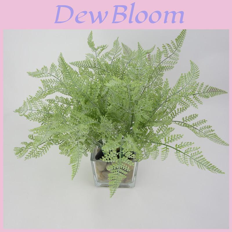 Faux Pteridium Aquilinum Var Latiusculum Plant Decor Set With Realistic Leaf Textures For Garden Photography And Home Decor