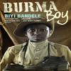 Burma Boy by Biyi Bandele Paperback Book 9780099488989