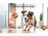Electric Luminous Pet Toy: Bite-Resistant, Smart Teasing Ball for Dogs and Cats