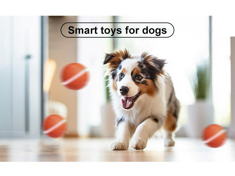 Electric Luminous Pet Toy: Bite-Resistant, Smart Teasing Ball for Dogs and Cats