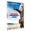 DVD Les Vacances De Mr. Bean