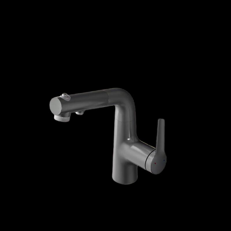 MDNG Bathroom Pull-Out Faucet