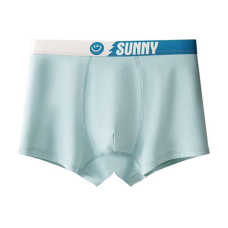 Male Spring and Autumn Cotton 10A Antibacterial Youth Development Period Flat Angle Underwear