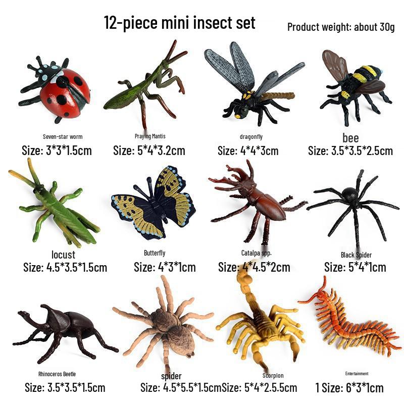 Mini Animal Growth Cycle Toys: Butterfly, Rooster, Ant, Frog, Sea Turtle, Dragonfly