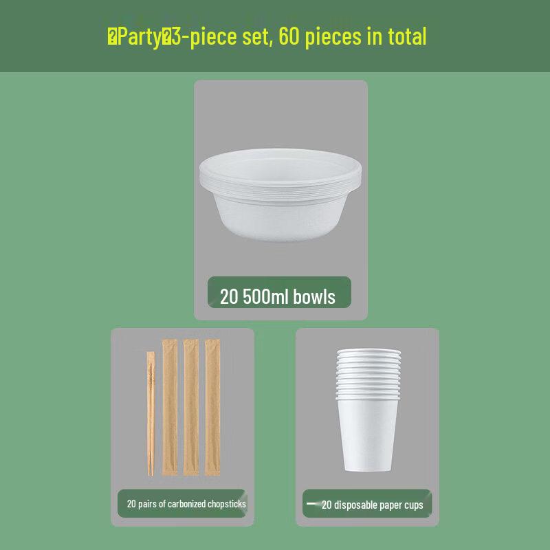 ZISIZ Disposable Aluminum Foil Plate & Bowl Set