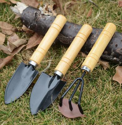 3Pcs/Set Mini Garden Tool Set For Garden Plants Flower Pot Cactus Vegetables Digging Weeding Indoor Small Plants Garden Tools