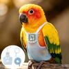Escape-Proof Bird Flight Suits Snap-Closure Parrot Outdoor Leashes Parrot Flying Clothes  Travel