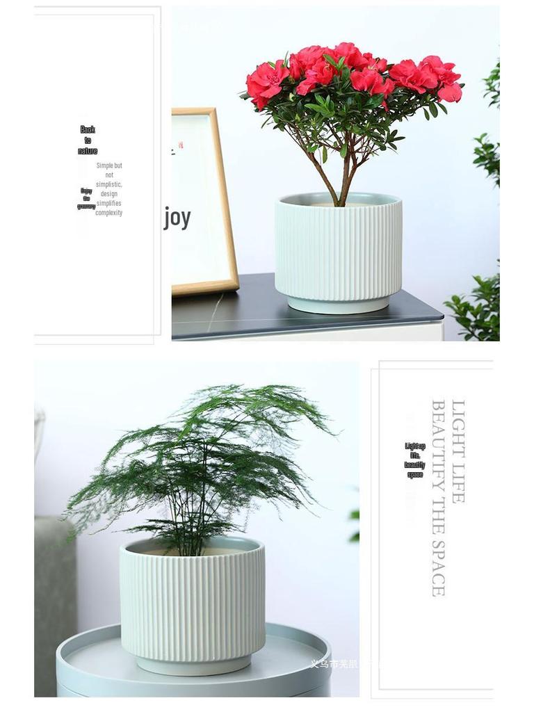 Ceramic Orchid Flower Pot - White Light Luxury, Minimalist Nordic Design for Indoor Living Room