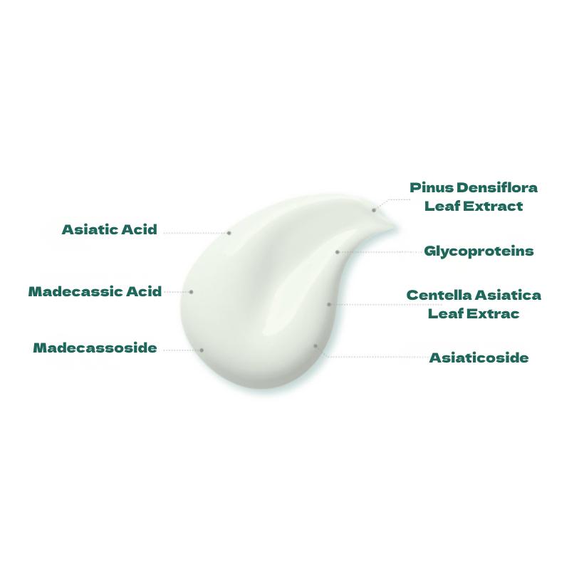ROUND LAB Pine Calming Cica Cream 50ml Soothing & Barrier Repair Care