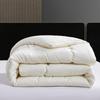 PAUI DAVID Thickened All-Season Polyester Quilt