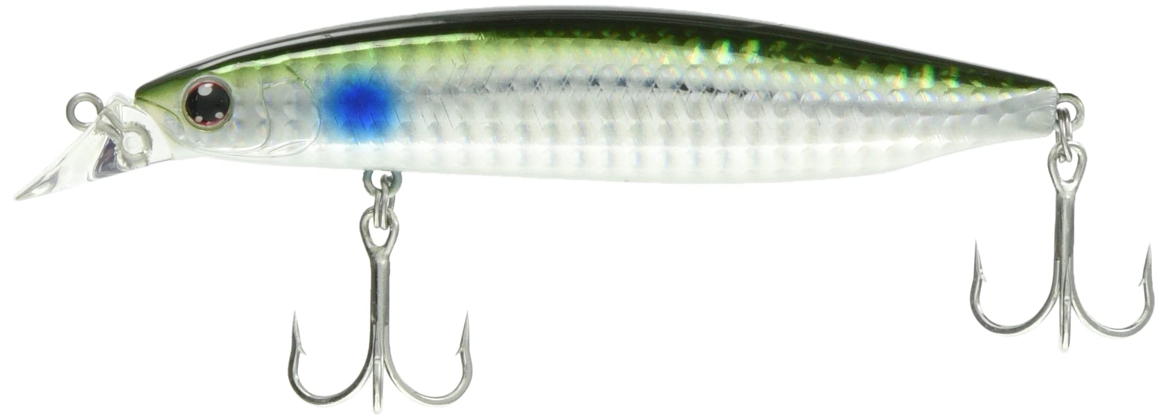 

Daiwa Shoreline Shiner Z Vertis R 98F