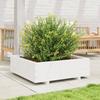 VidaXL Jardinière blanc 80x80x26,5 cm bois de pin massif, jardinière d'extérieur, bac à fleurs, boîte à plantes, jardinière 847309