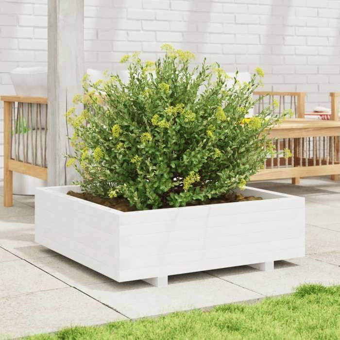 VidaXL Jardinière blanc 80x80x26,5 cm bois de pin massif, jardinière d'extérieur, bac à fleurs, boîte à plantes, jardinière 847309