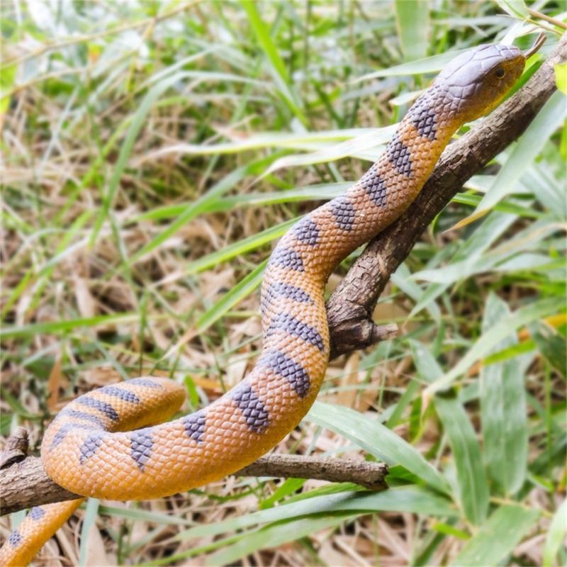 Weiches Gummischlangenmodell Realistisches Schlangen-Actionfigur-Spielzeug Solide Schlangenfigur für Halloween-Streich und Stressabbau