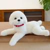 Hoodie Teddy Dog Plush Toy Cute Cartoon Collar Animal Doll Girl Gift Birthday