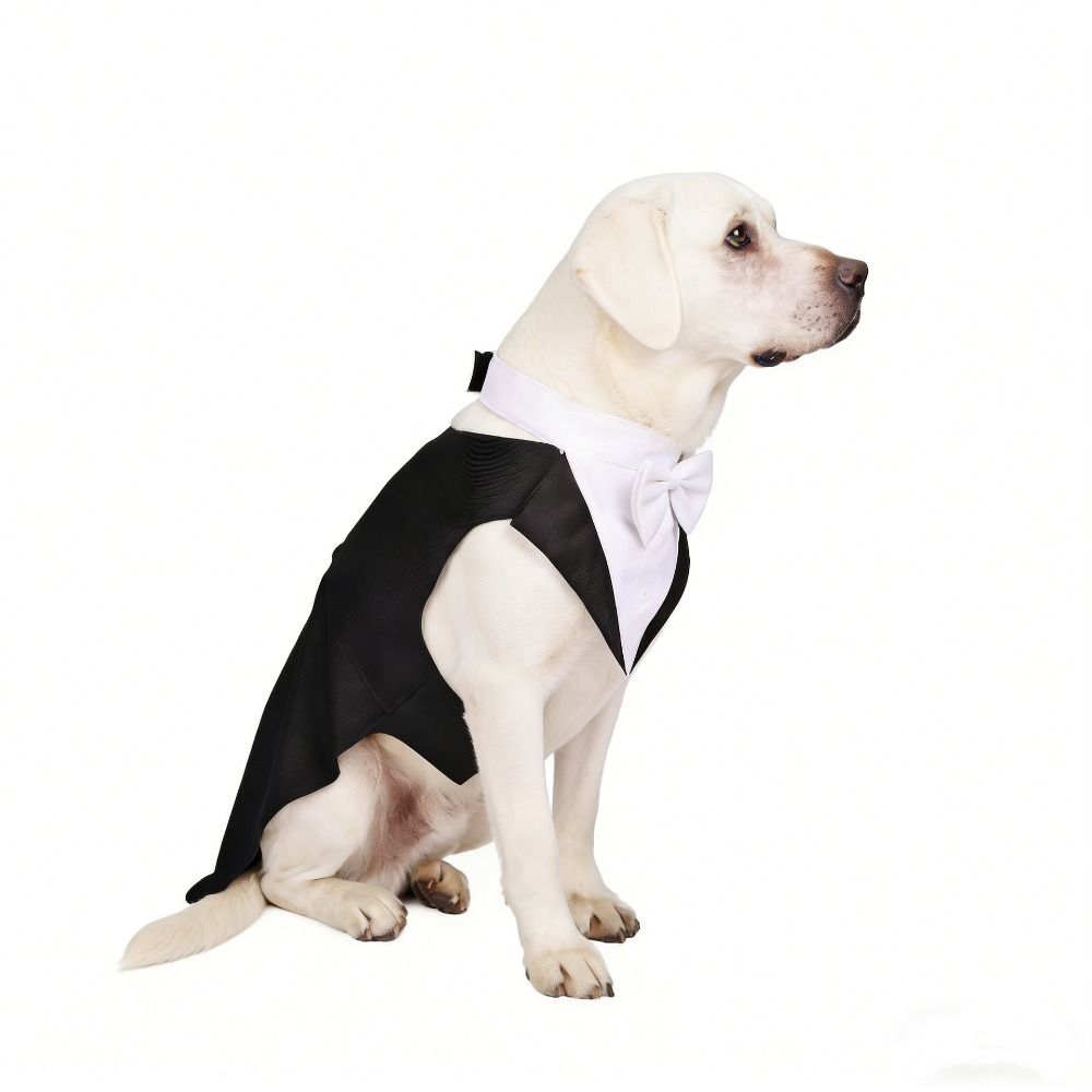 Detachable Design Dog Wedding Costume Black/Stripes Dog Formal Shirt Cosplay Use