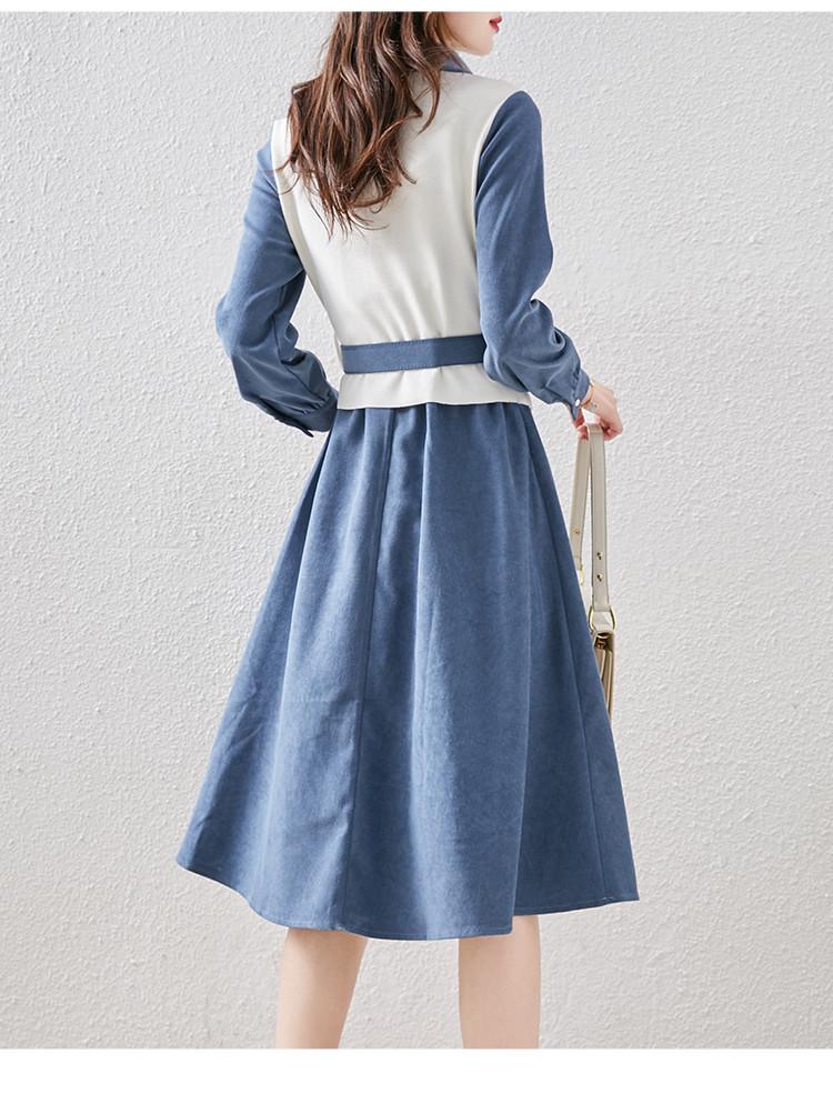 Spring 2024 Trendy Women's A-Line Dress: Long-Sleeved, Waist-Slimming with Large Swing Skirt