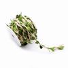 10M Simulation Green Leaves Weaving Hemp Rope DIY Wedding Birthday Wedding Decoration Rattan Gift