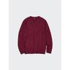 Japan Merino V Neck Sweater