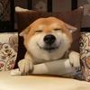 Shiba Inu Cute Pillow Case Pillowcase, Double-sided Printed, Sofa Cushion, Bedroom Headboard Pillow
