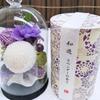 Preserved Shinshion Flowers and Incense Set, Memorial Flowers In a Cork Glass Dome