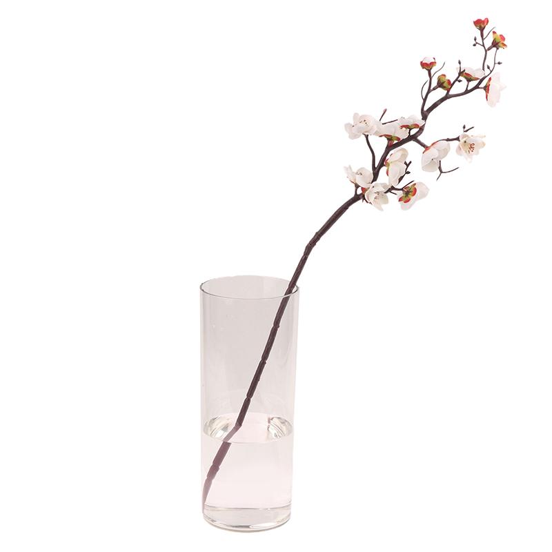 Hydroponic Plants Acrylic Cylinder Vase Transparent Fresh Flowers Decorative Bottles For Wedding Dining Table Centerpieces