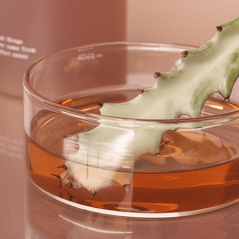 [Huxley] Conditioning Essence Toner Freeshape 300ml