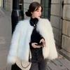 Autumn and Winter New Fashion Imitation Fox Fur Coat Women's Short Slim and Thin Fur Coat Tide