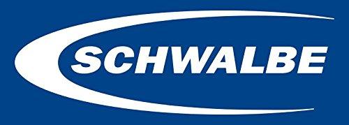 SCHWALBE Tubeless Valves (2-Pack) Presta/40mm Length [Parallel Import]