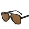 Aviator zonnebril met dubbele brug voor dames en heren, casual, modieus, anti-verblinding, ideaal voor autorijden, strand en reizen.