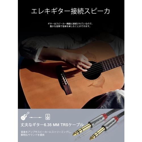 ANYPLUS 6.35mm Instrument Cable, 1m, 6.35mm Guitar Line Stereo Standard Plug Cable, Poles to Poles, Used to Connect Tuners, Guitars, Loudspeakers, Spe