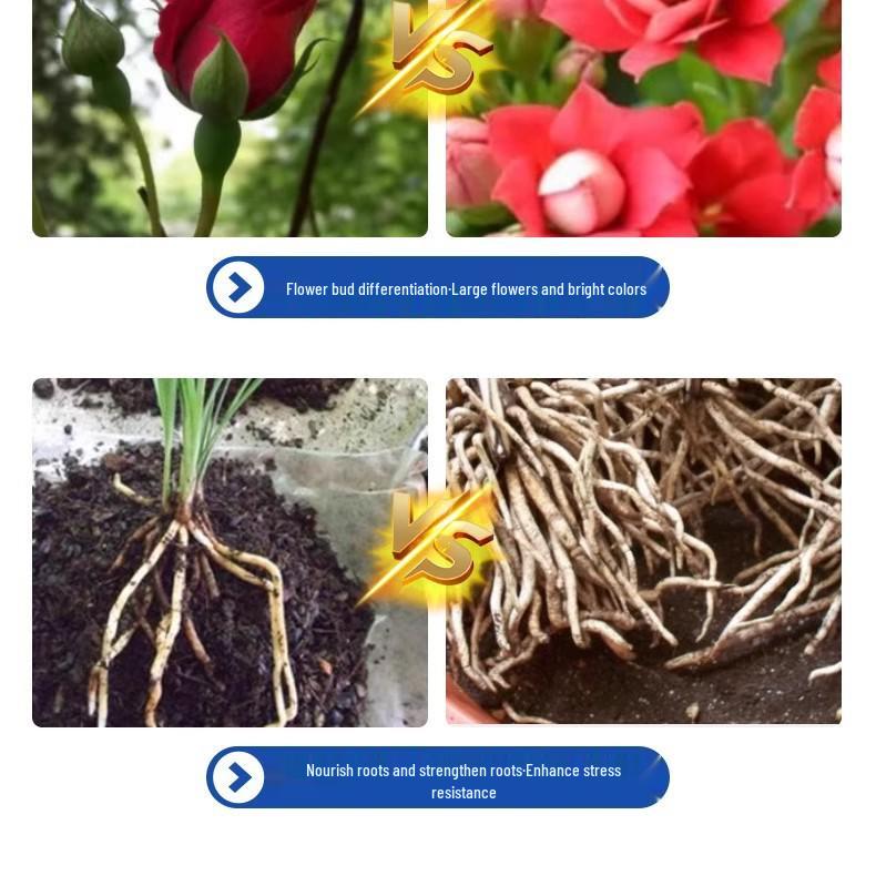 Universal Plant Revitalizer: Water-Soluble Nutrient Solution for Green & Potted Plants, Flowers, Yellowing Leaves