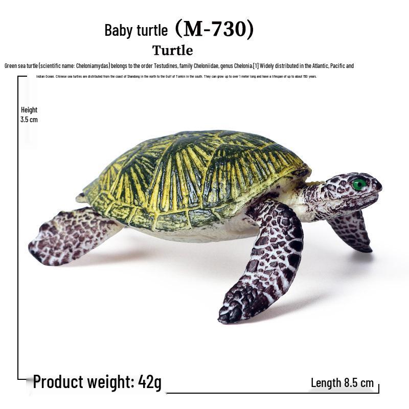 Galapagos Tortoise Amphibious Toy: Static Plastic Animal Model for Children