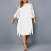 Women's White Round Neck Lace Sleeve Asymmetrical Hem Dress with Multi Color Options